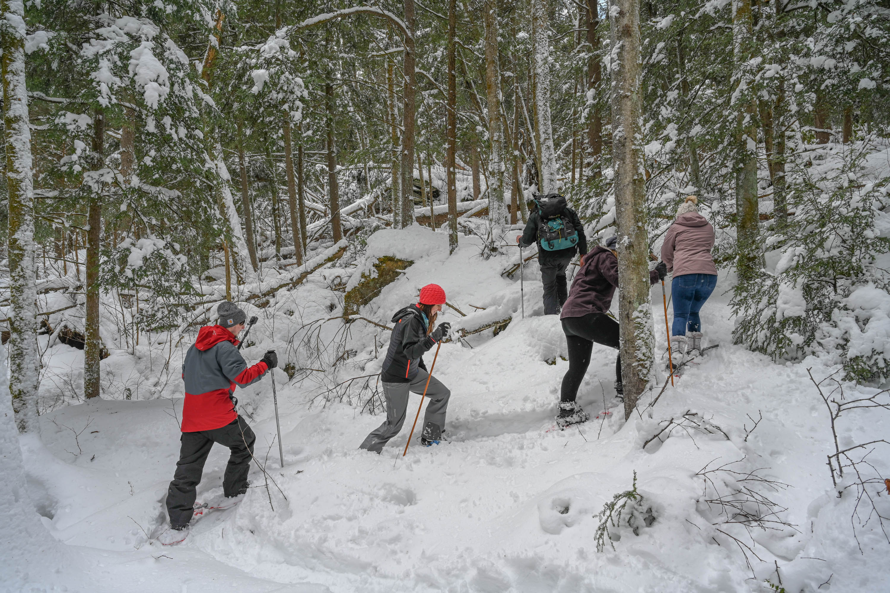 Snow Shoe Tour Deep Creek Swallow Falls Winter