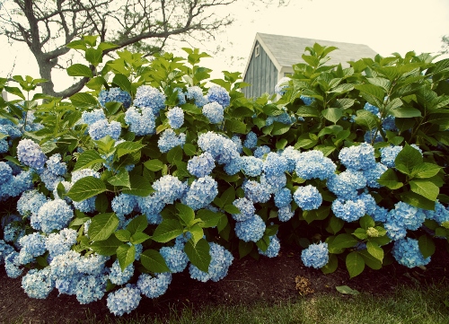 Cape Cod in the Spring