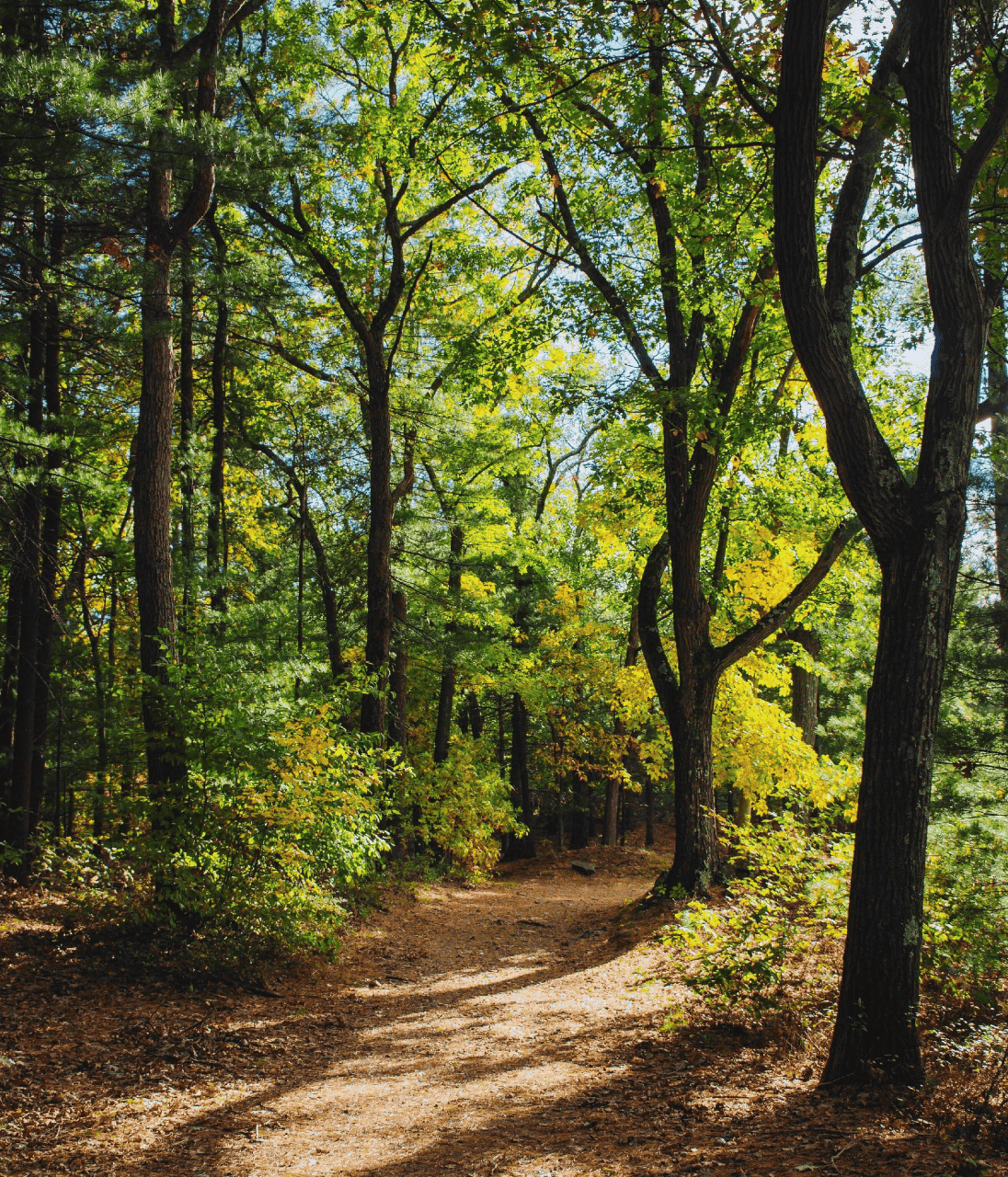 Outdoors and recreation