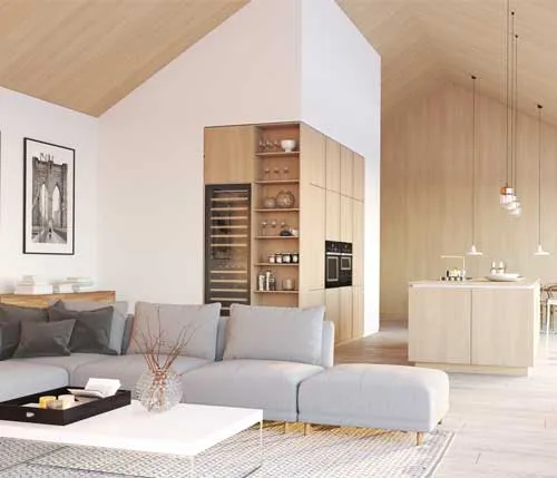 living room fire place