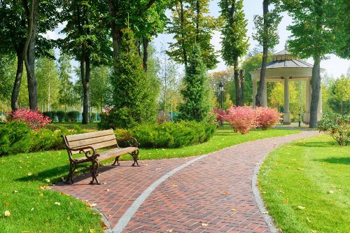 Park with Bench and Trails