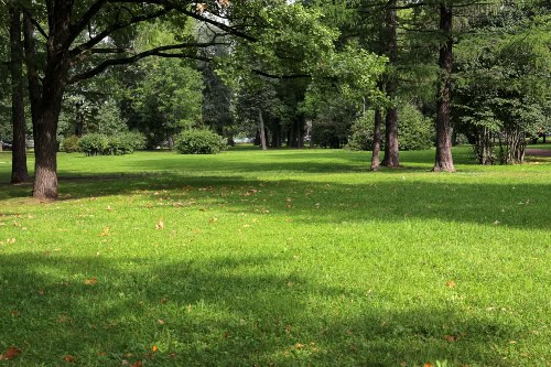 Park with Green Open Space