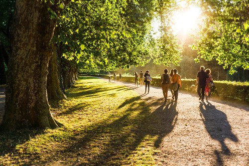 People Walking in Park