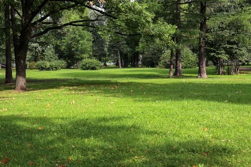 Park in Stafford CT