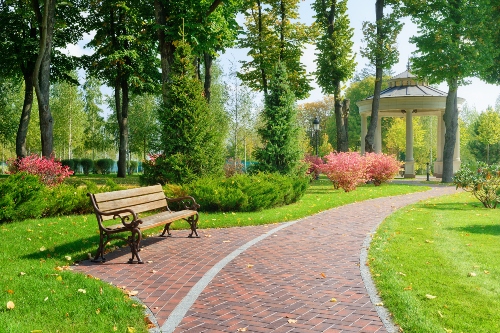 Beautiful Park with Bench and Walking Trail