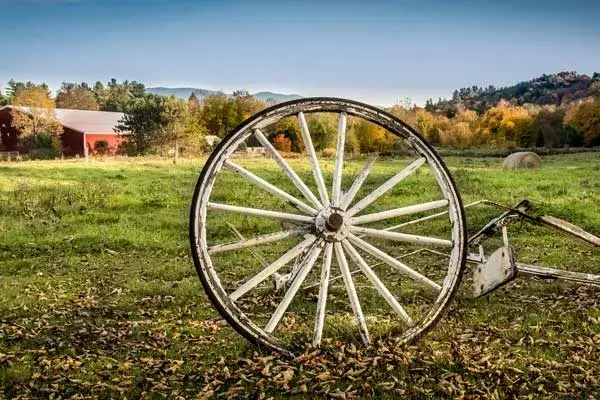 farms