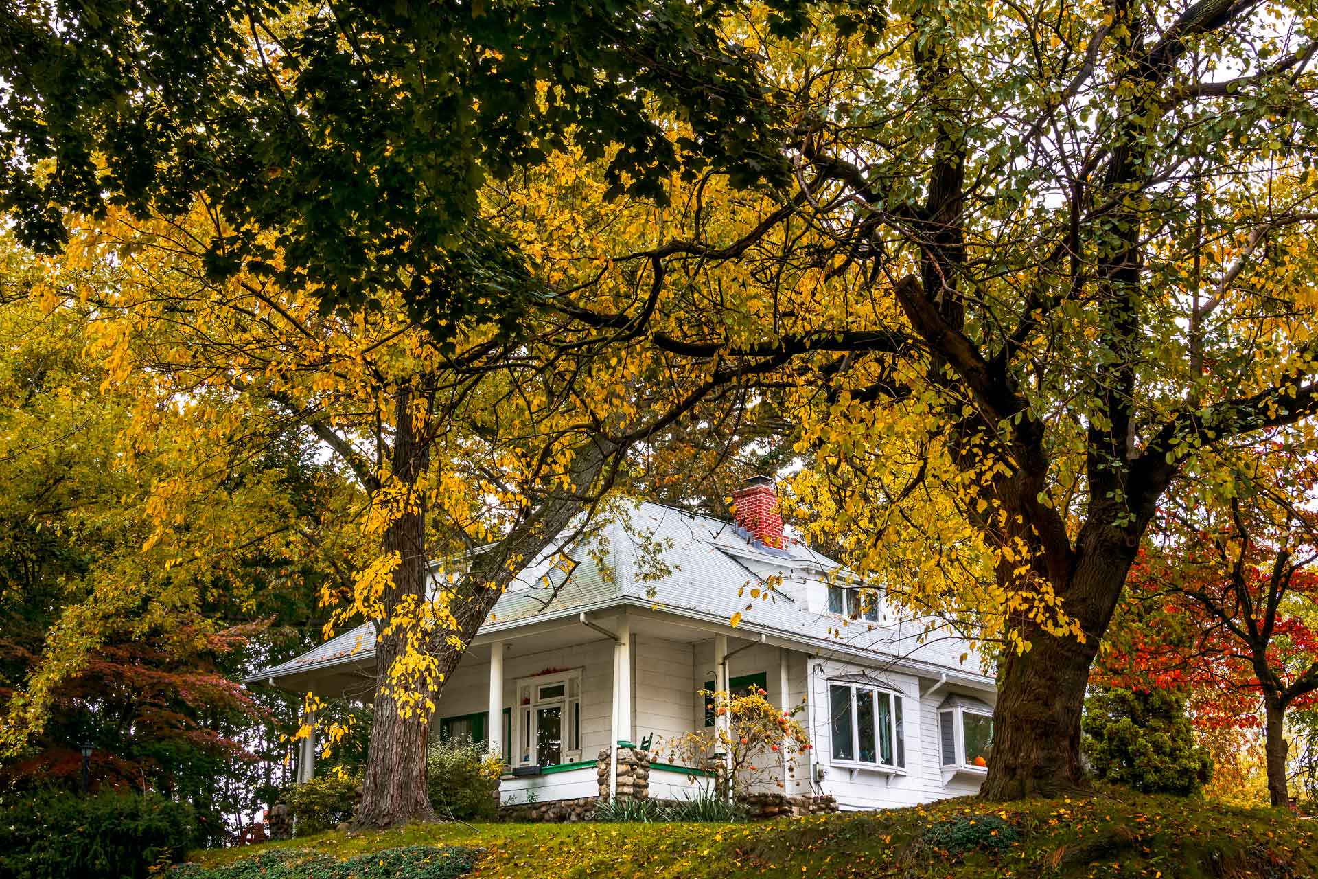 house surrounded by trees