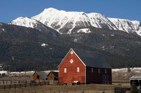 farm