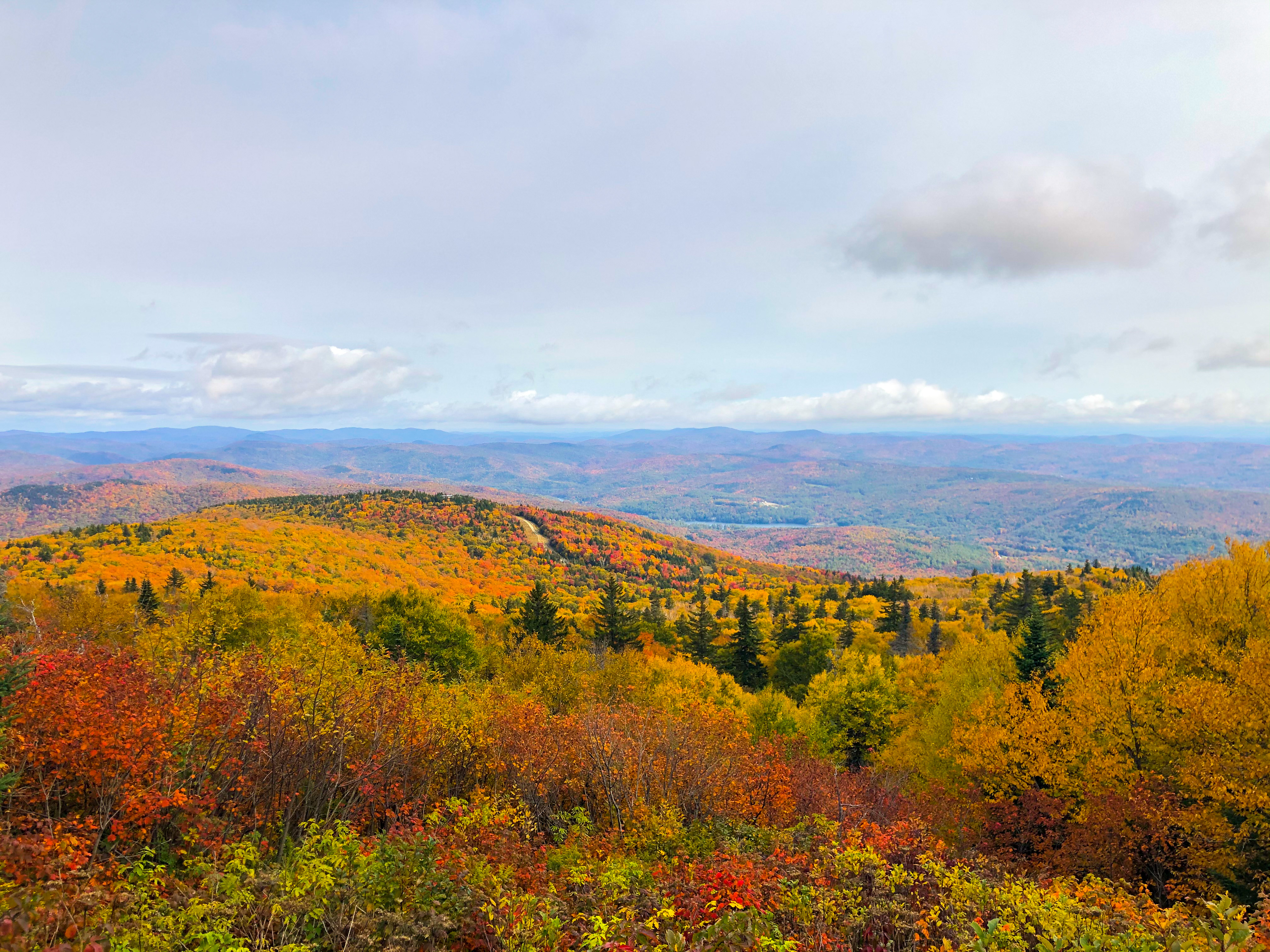 Meadow and Mountains with Fall Foliage