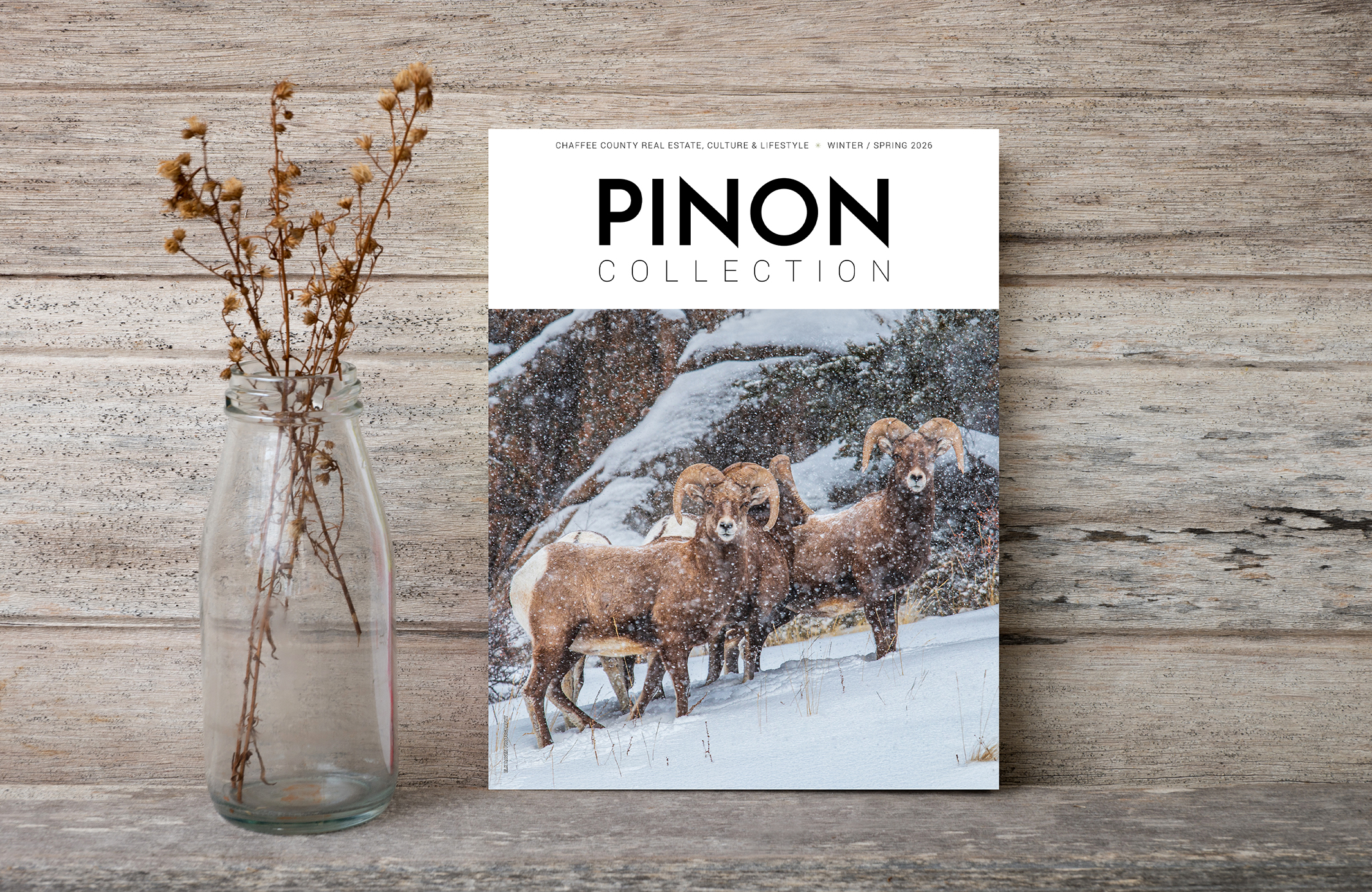 Pinon magazine