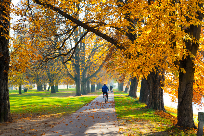 Beautiful Park with Walking Trail