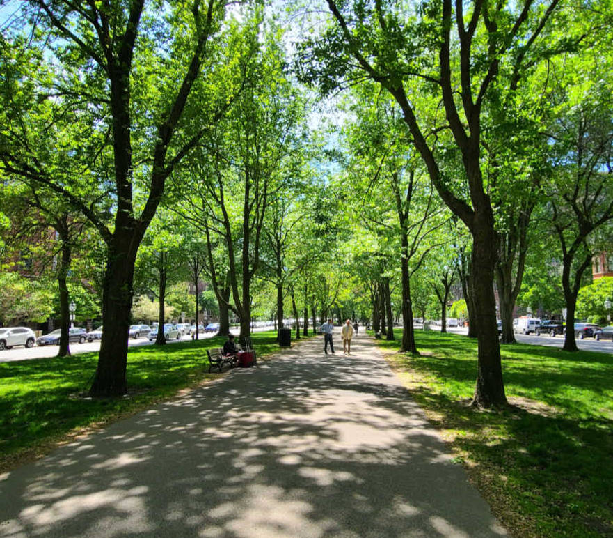 Neighborhood View