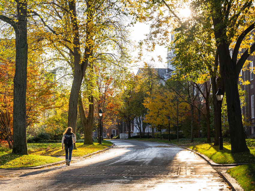 Harvard Yard, Cambridge MA