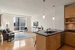 700 Harrison Ave #513
