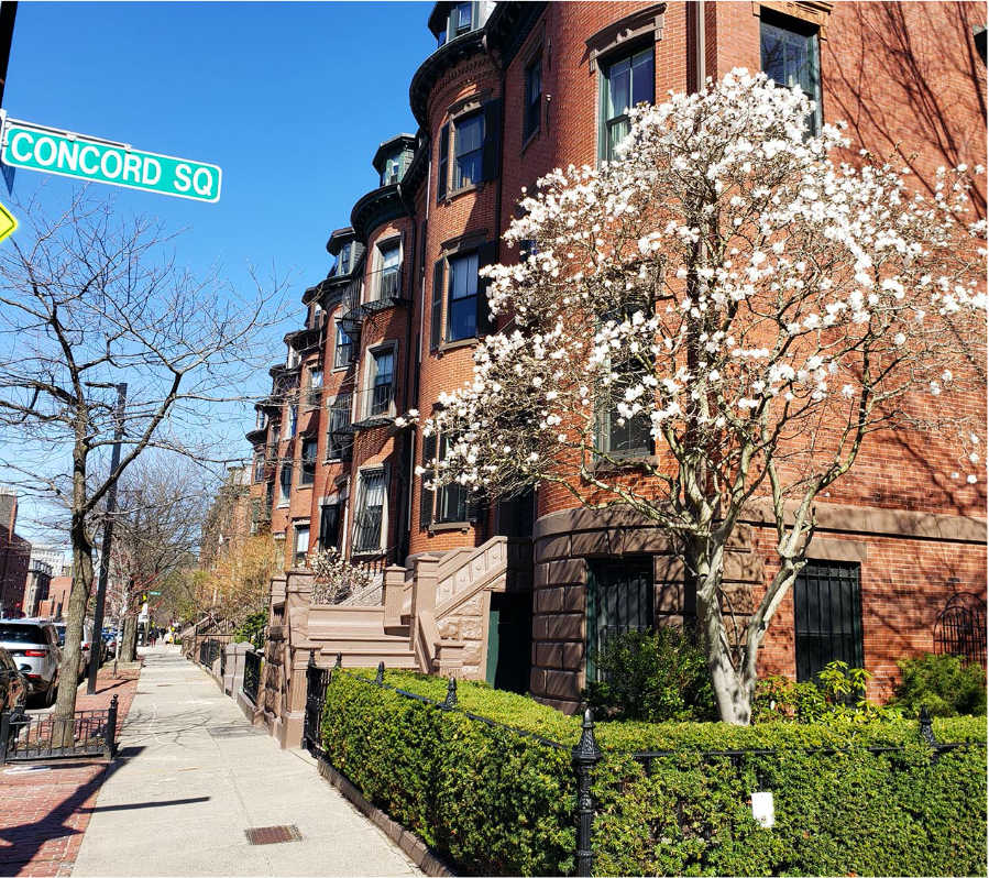 Neighborhood View