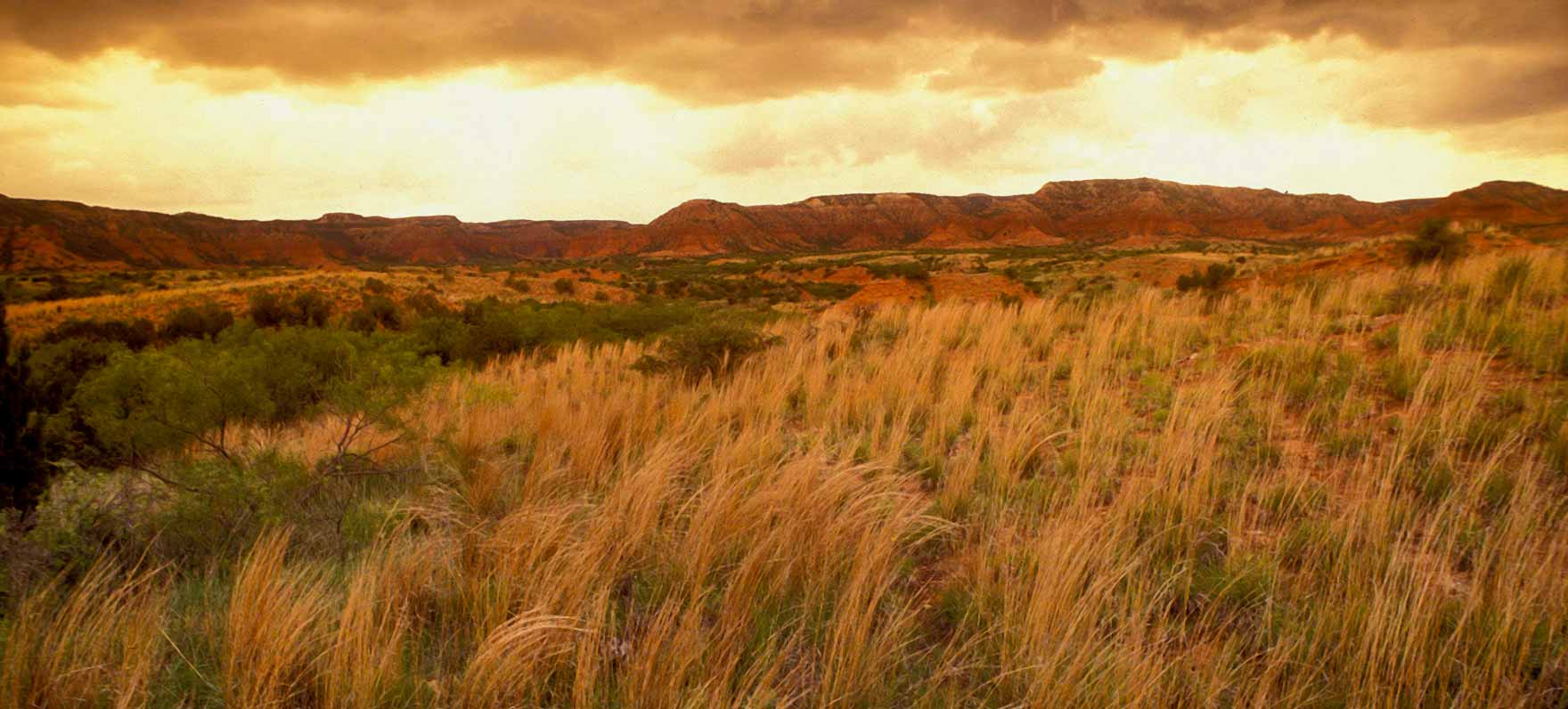 Natural landscape in Texas