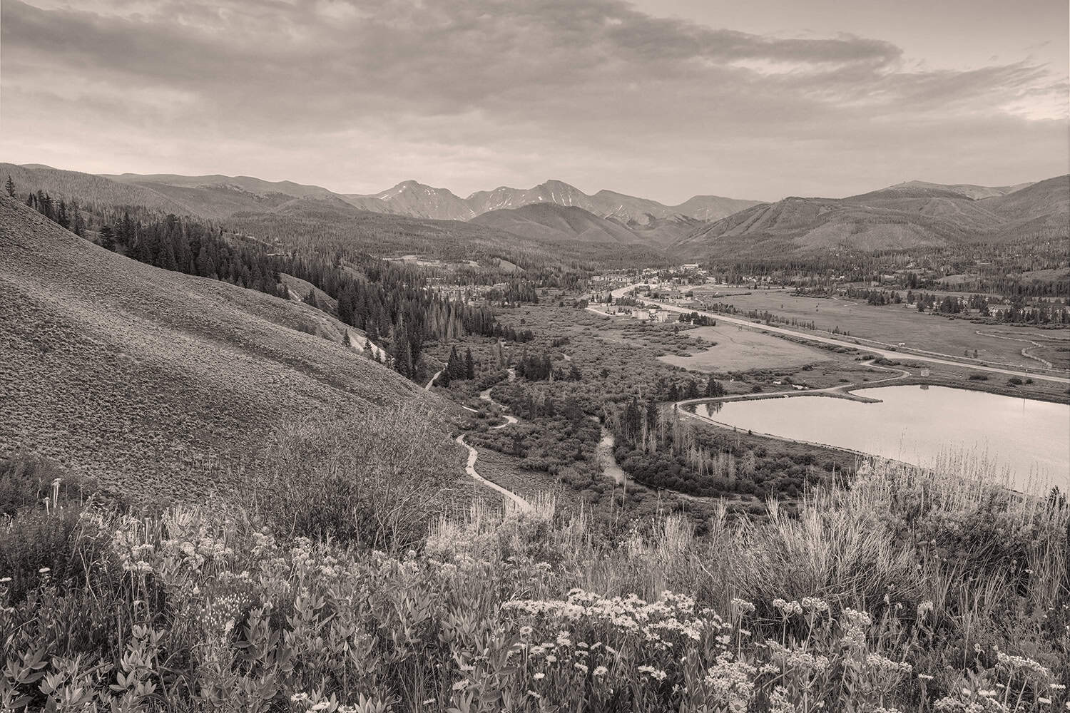 Fall Leaves with Snowcapped Mountains