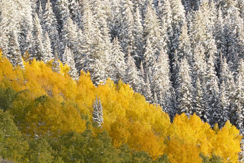 Winter vs. Summer in Winter Park