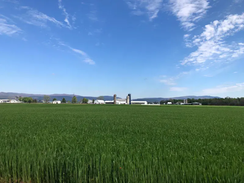 All Communities city view