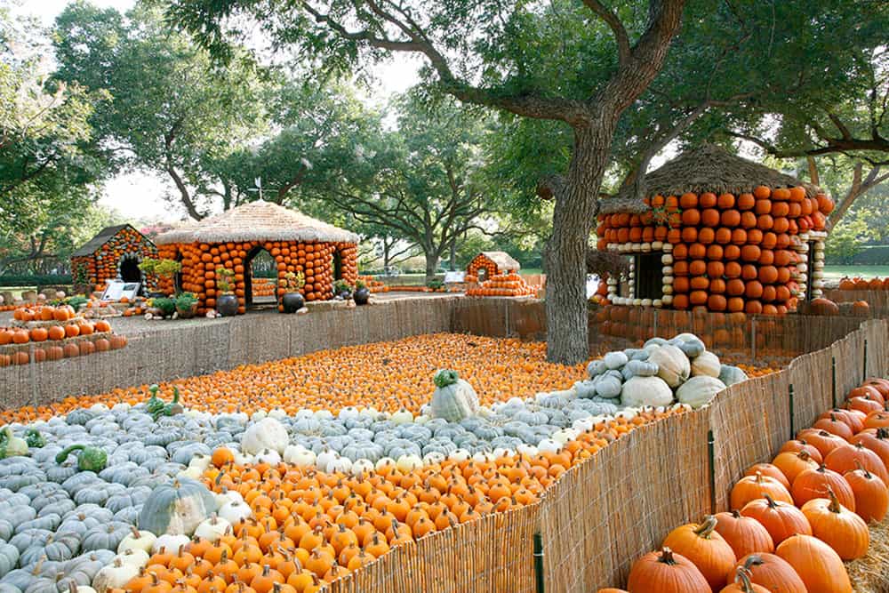Autumn at the Arboretum — Dallas Arboretum & Botanical Garden - Pumpkins