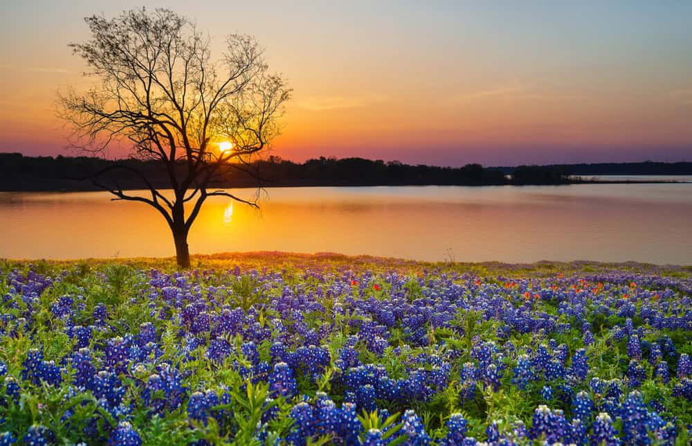 A Texas lake at Sunset