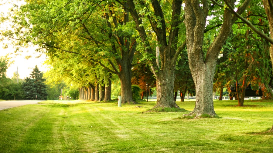 Santa Monica / Hollywood Heights