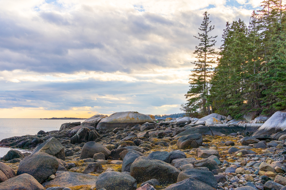 Maine Coastline