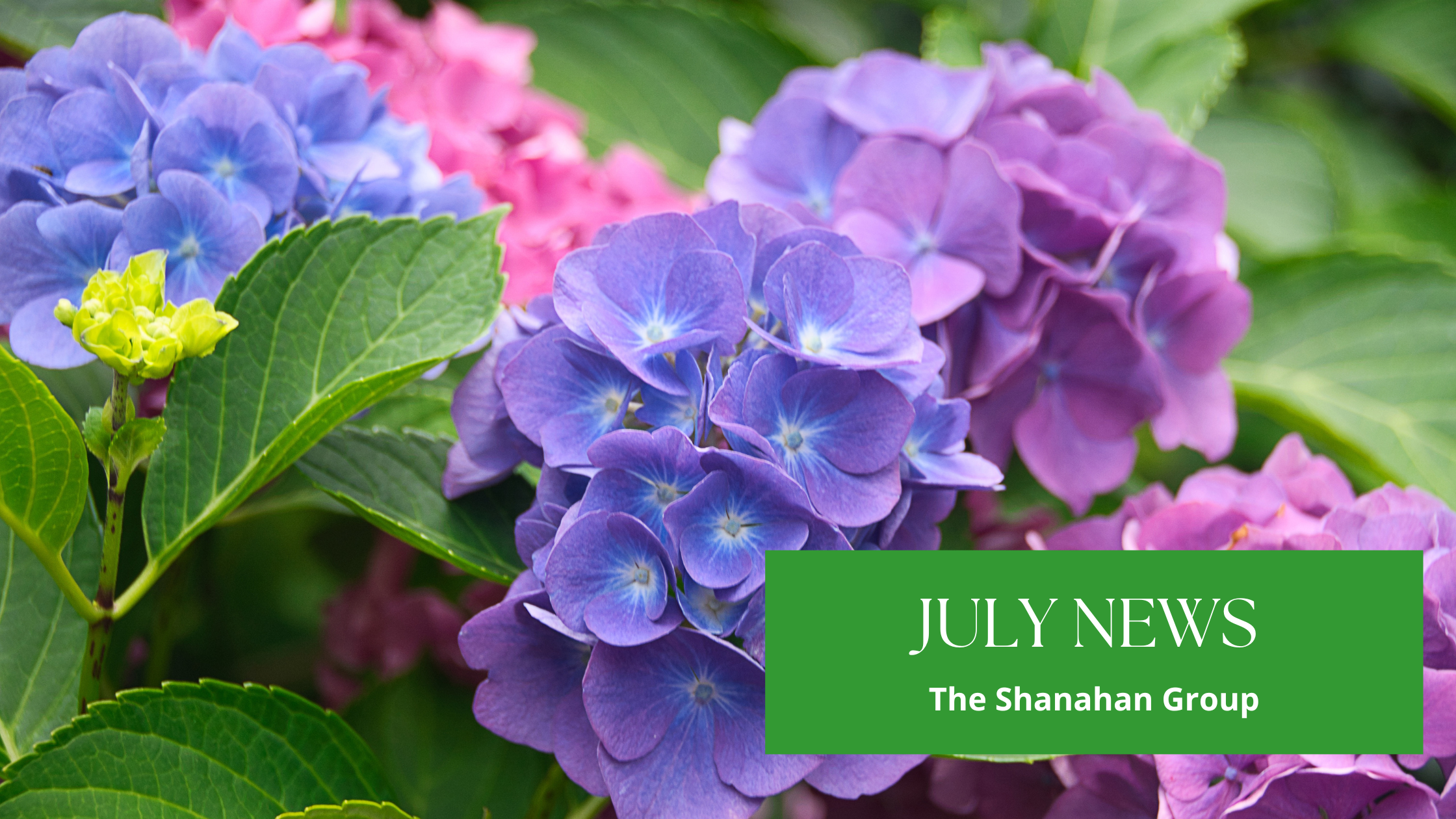 July News From The Shanahan Group