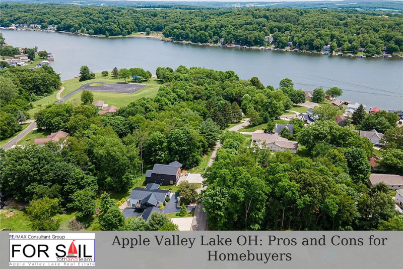 Aerial view of Apple Valley Lake OH showing waterfront homes, wooded neighborhoods, shoreline docks, and community roads for a homebuyer pros and cons guide.