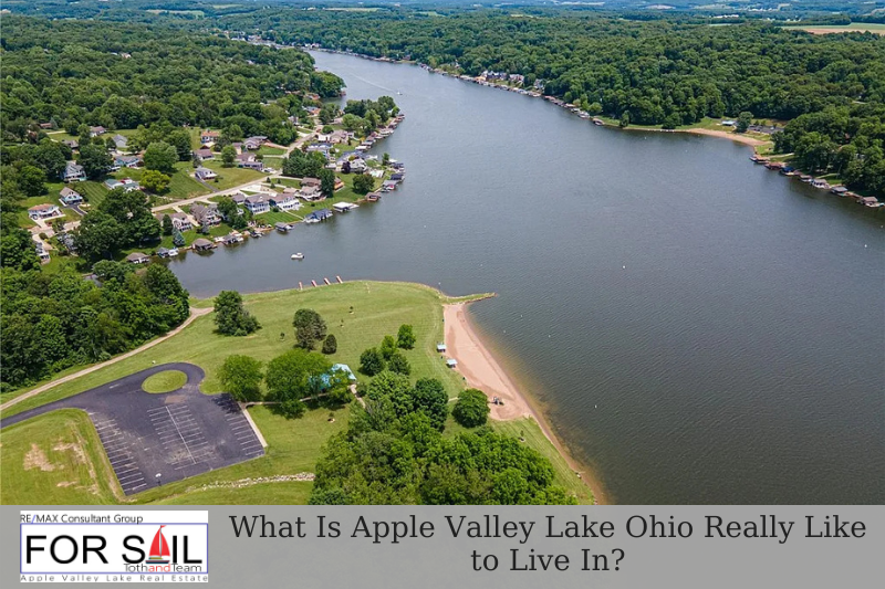 Aerial view of Apple Valley Lake Ohio showing the private lake, shoreline homes, sandy beach area, wooded hills, and community roads, with text reading “What Is Apple Valley Lake Ohio Really Like to Live In?” and Joe and Sherrie Toth RE/MAX Consultant Group branding.