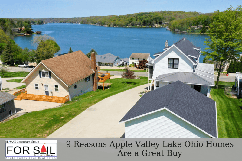 Aerial view of homes near Apple Valley Lake in Ohio featured in a blog graphic about why Apple Valley Lake homes are a great buy
