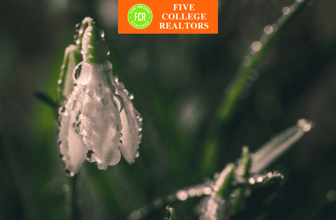 Five College Realtors: Maintaining your Home for the Spring