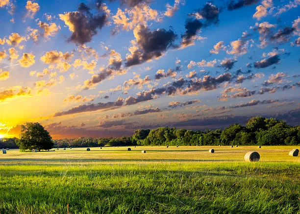 Tractor on the field photo