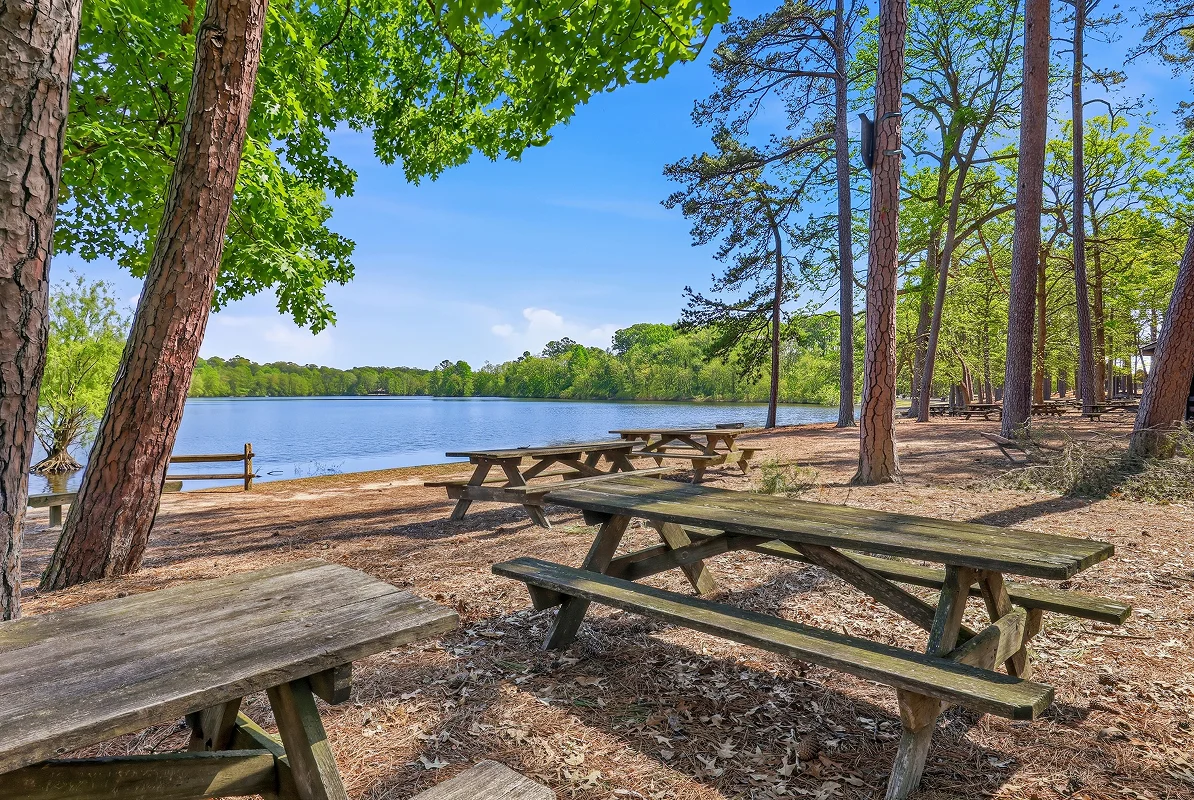 Trap Pond State Park