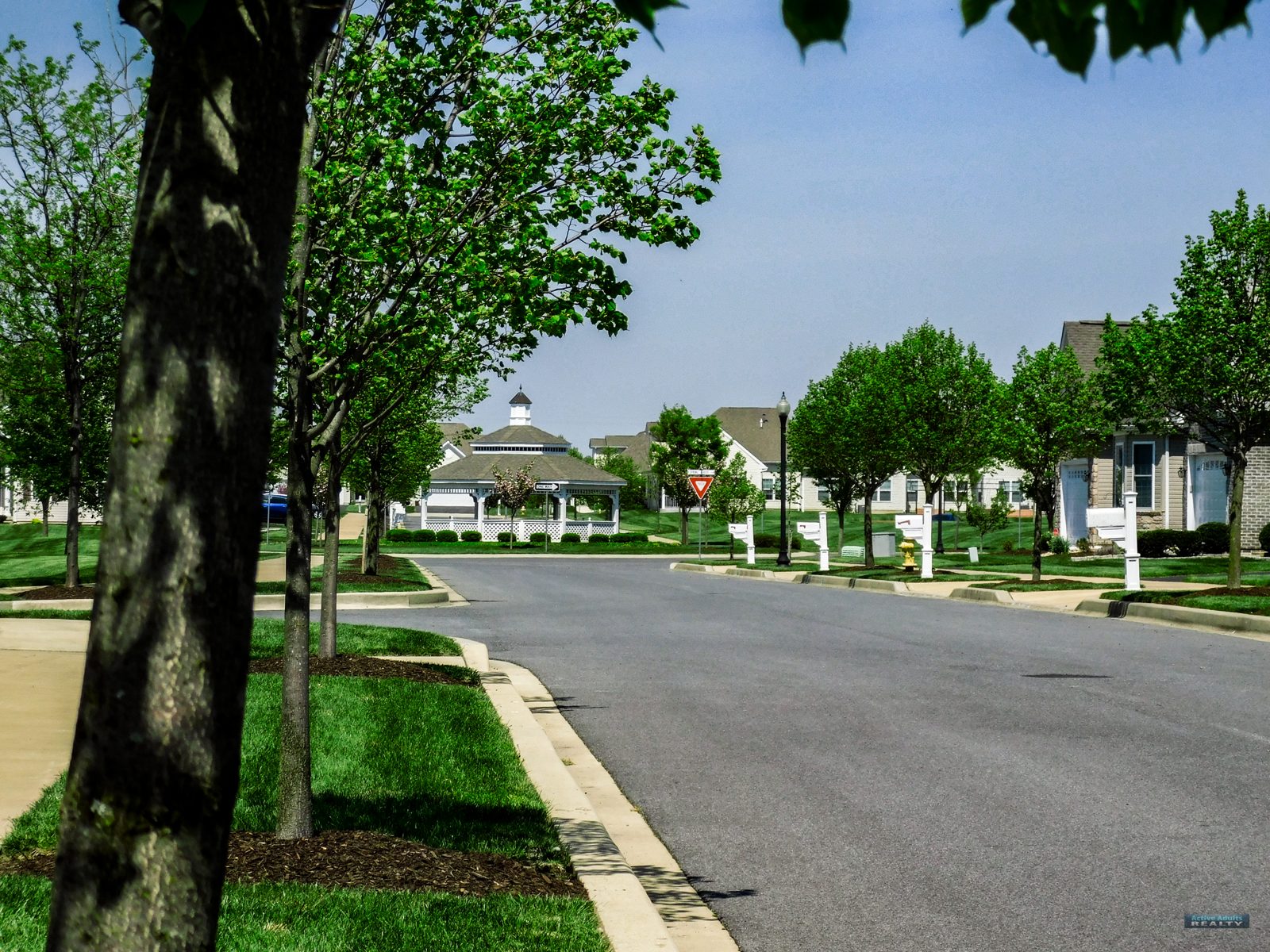 A tree-lined street with sidewalks inside Spring Arbor