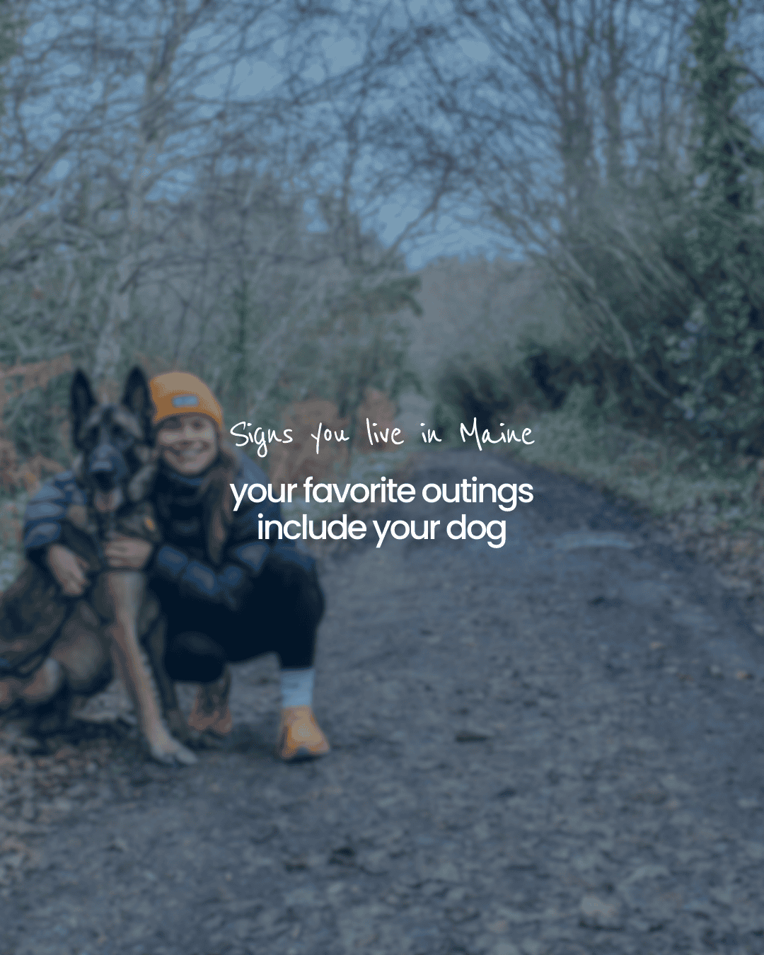 you live in maine three