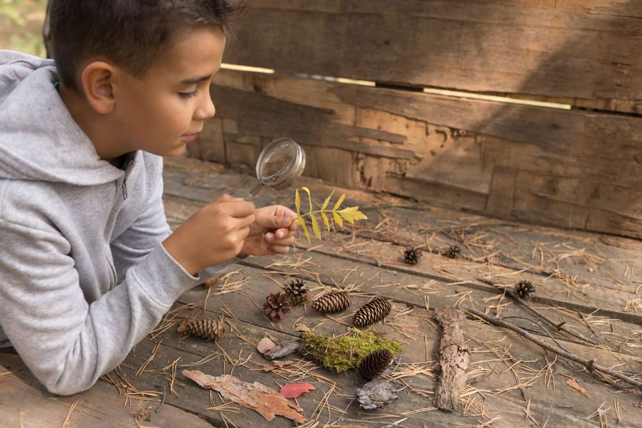 natures classroom