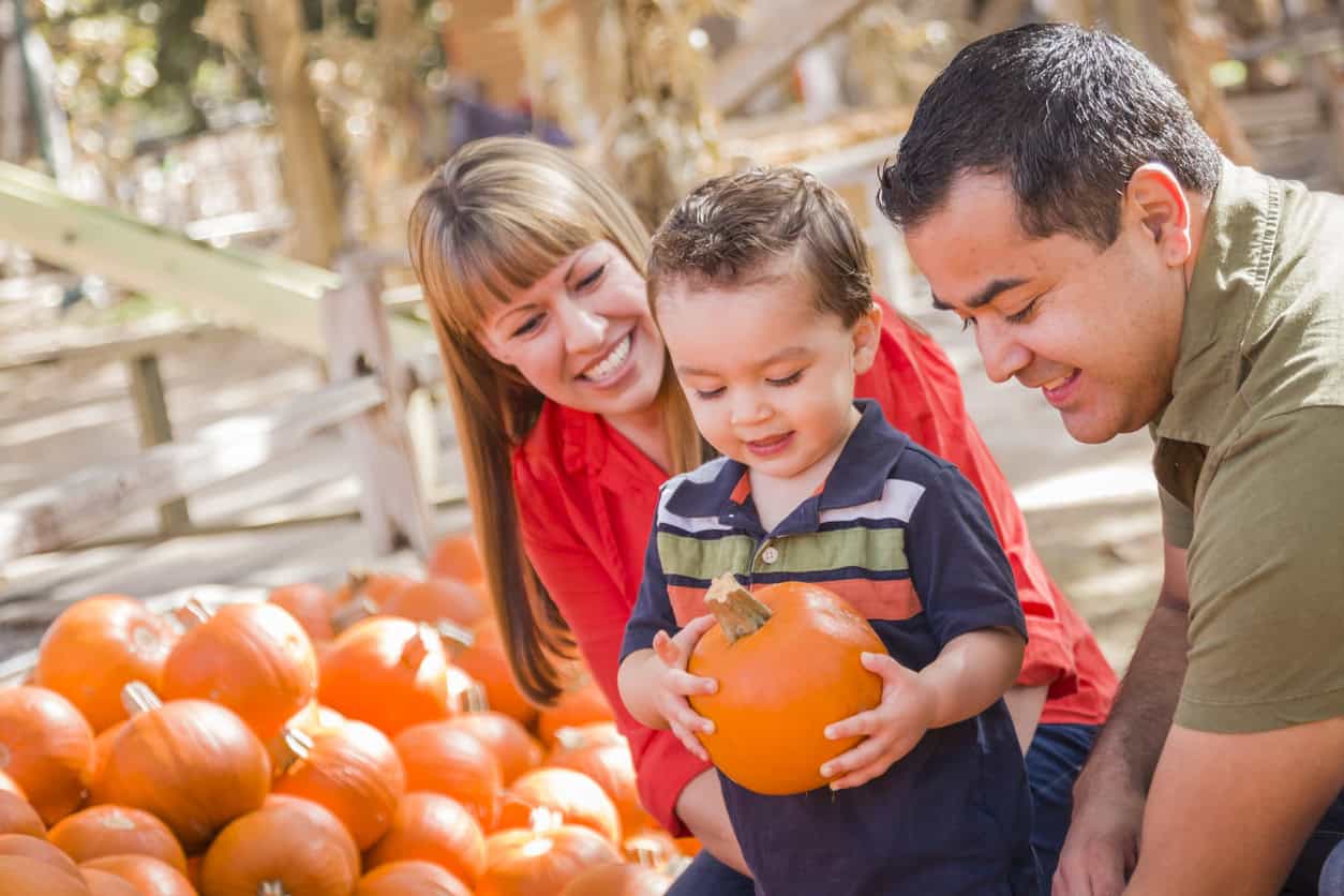 franklin county pumpkin patch