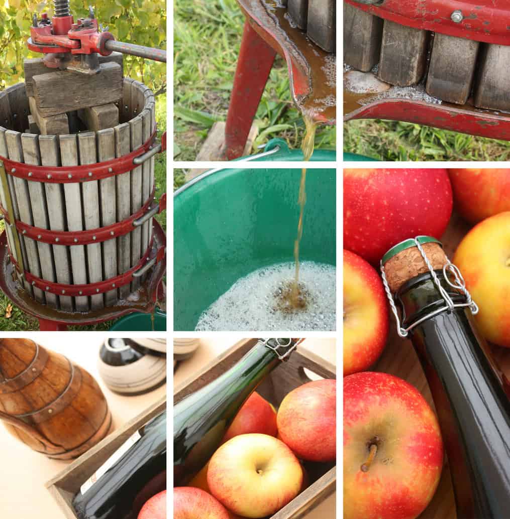 franklin county ciderdays