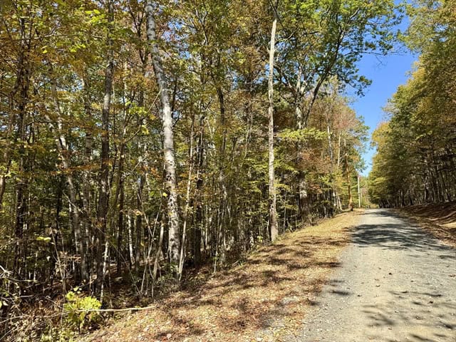 charlemont listing