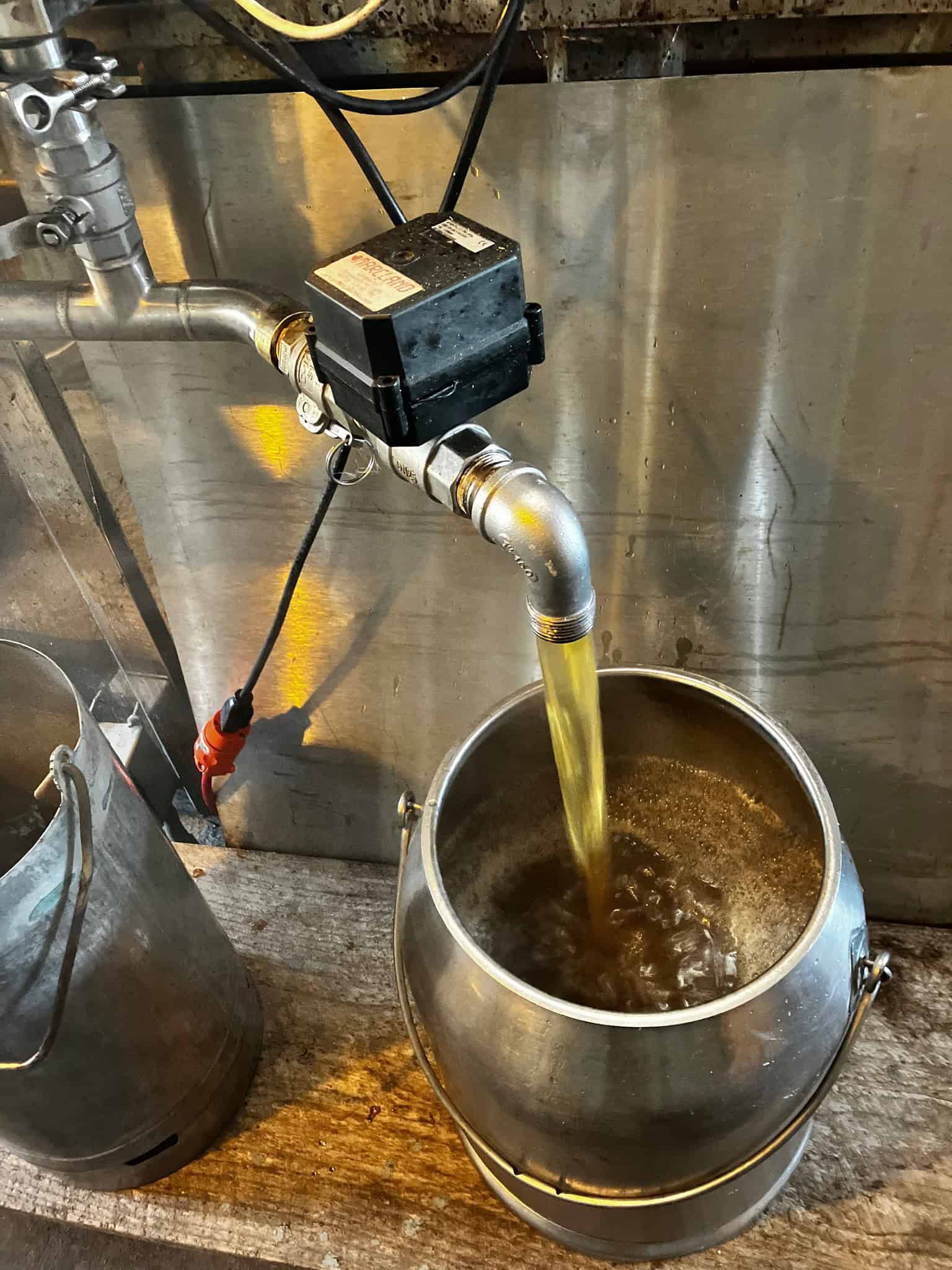 maple syrup