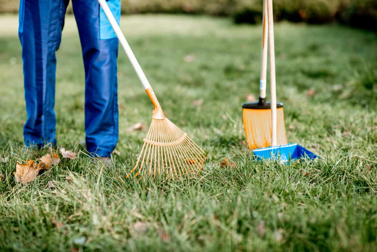 rake leaves