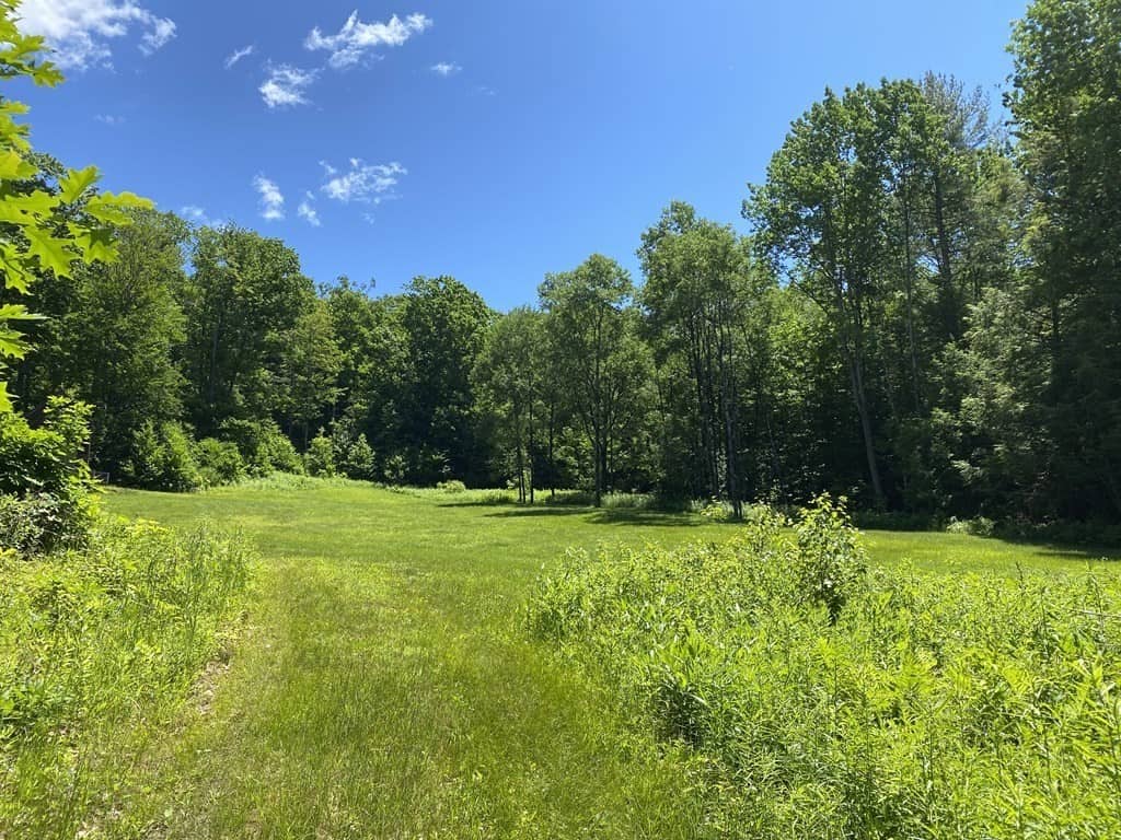 buying land western mass