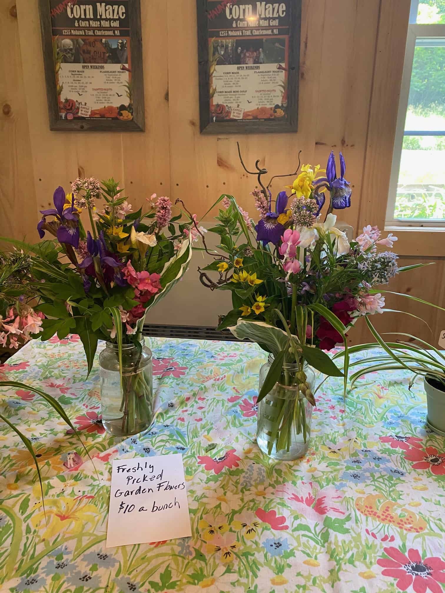 hicks family farm