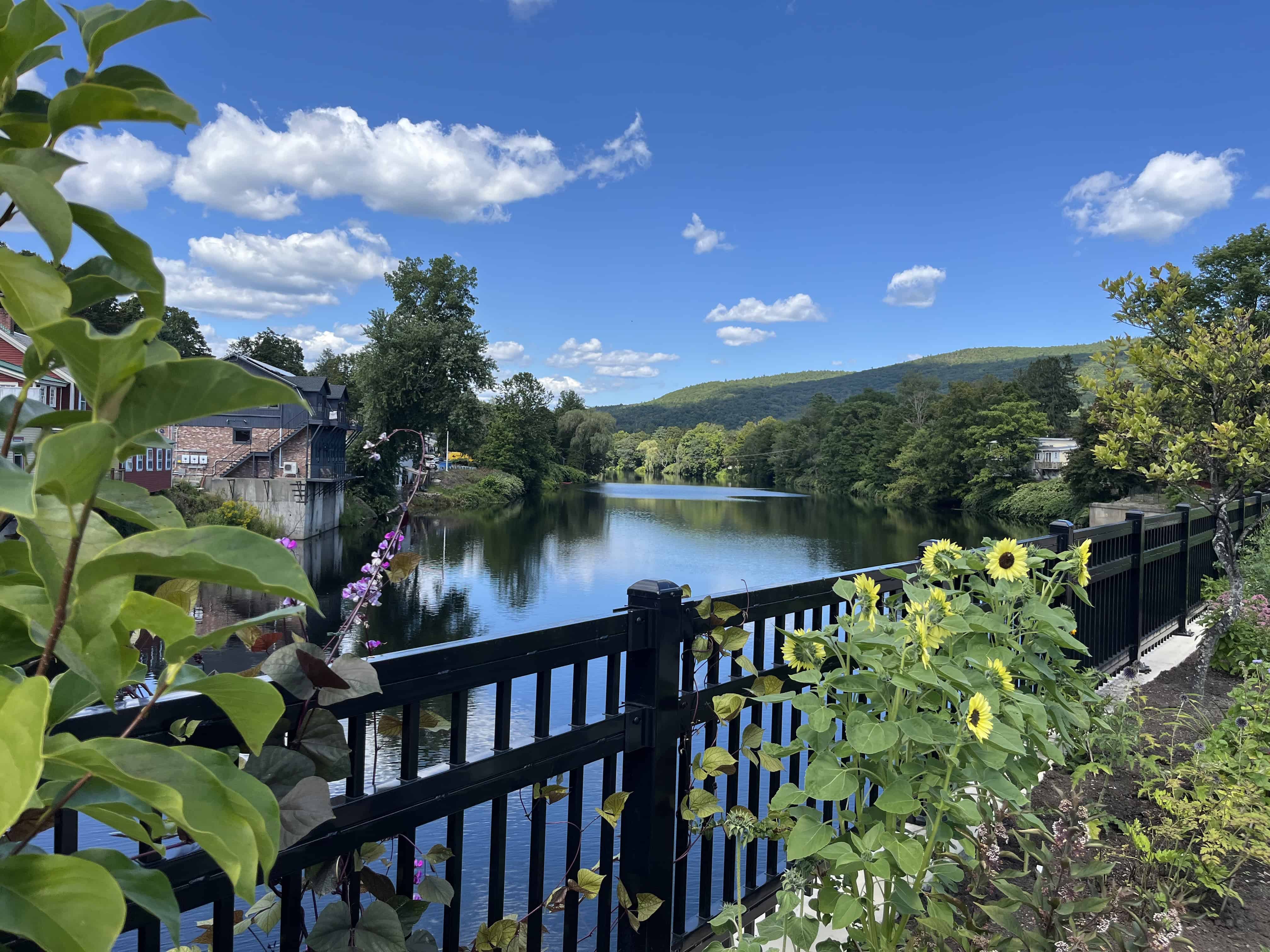 bridge of flowers