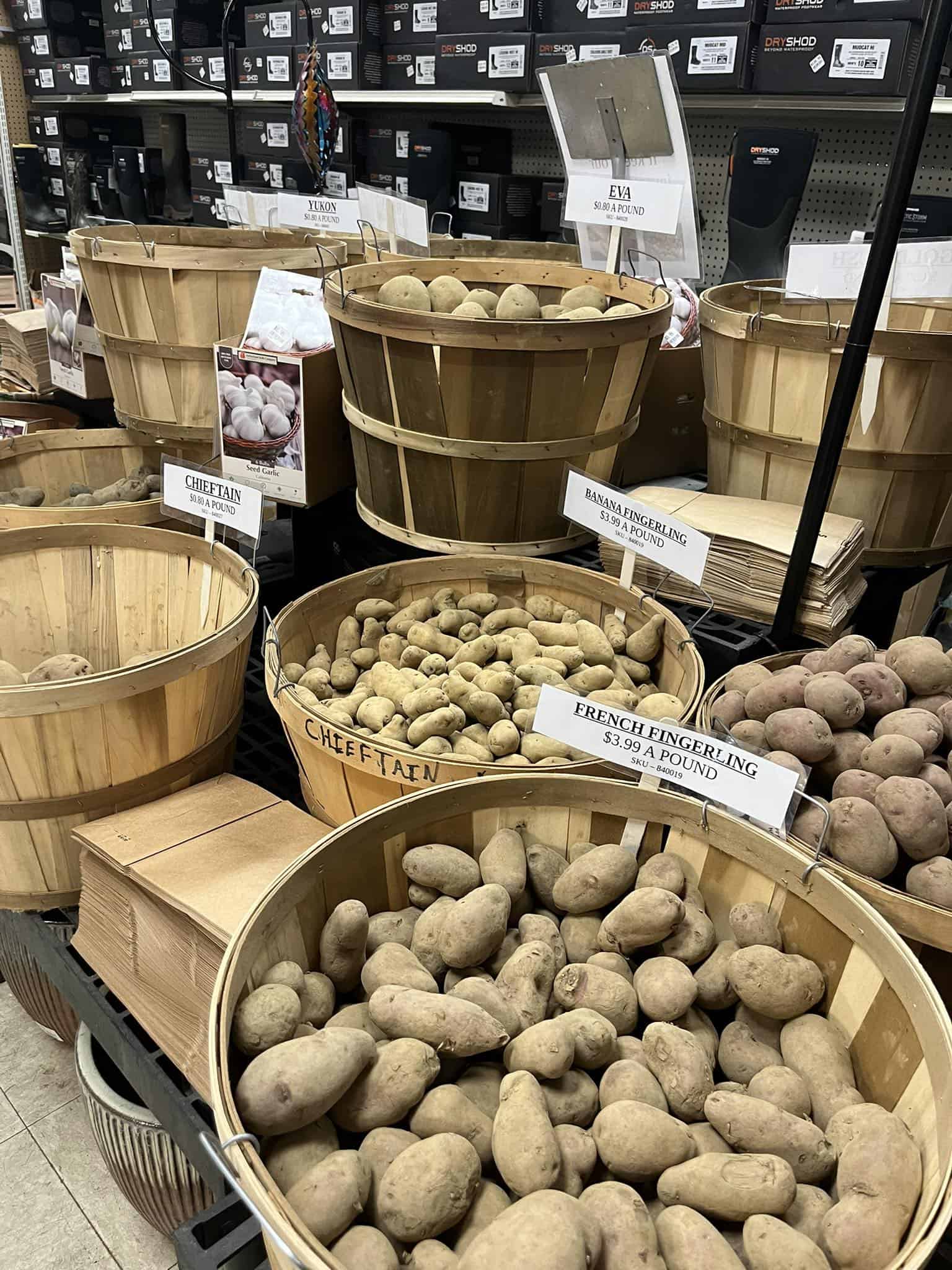 greenfield farmers coop