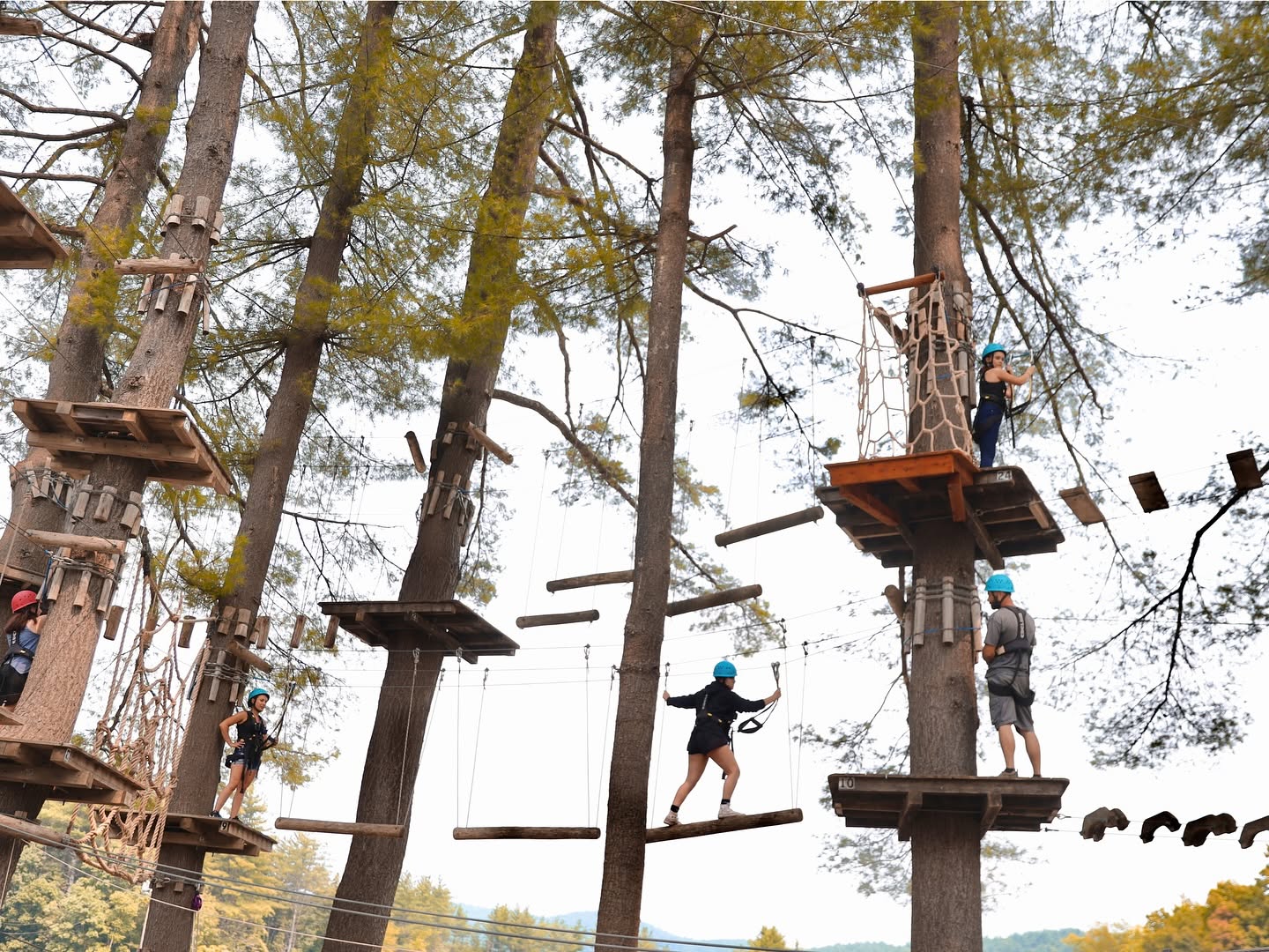 berkshire east aerial adventure park