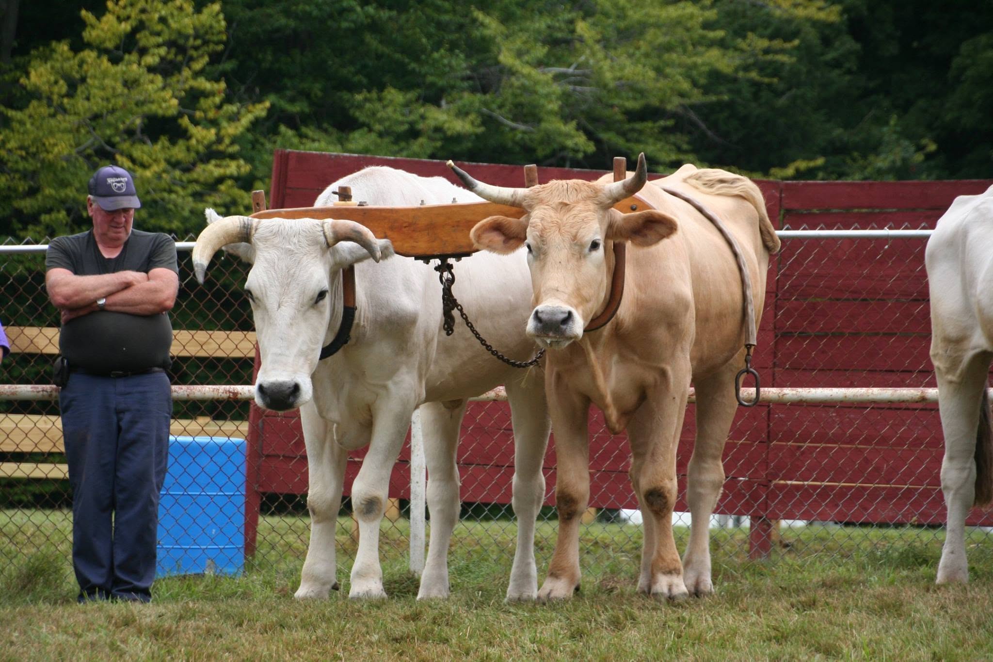 heath fair 