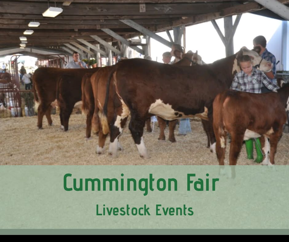 cummington fair
