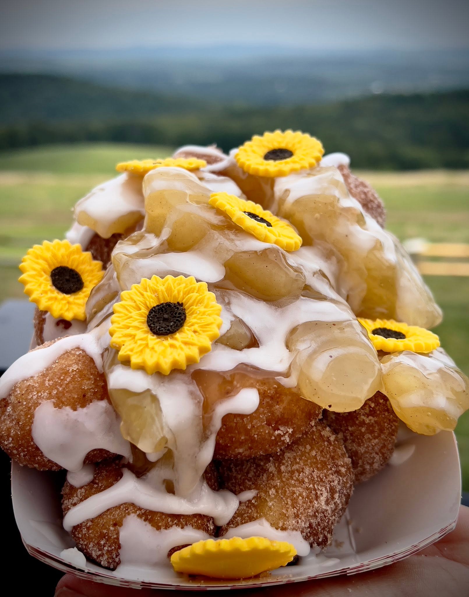 mini donuts